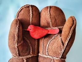 Hands in tanned brown mittens hold a toy red bird on a blue background. photo