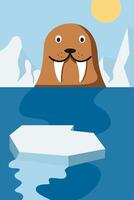 Exploring the polar circle walrus illustration vector