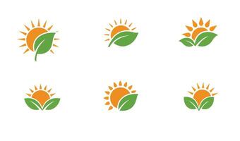 Stylish Sun and Leaf Logos Adding Sophistication to Branding vector