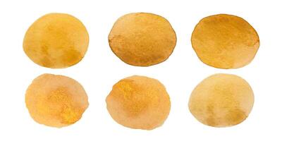 Elegant brown gold watercolor circles on a clean white backdrop showcase artistic variation vector