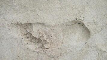Above view of single footprints of people on the sandy beach. for background and textured of dry beach. No.2 photo