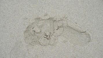 Above view of single footprints of people on the sandy beach. for background and textured of wet beach. photo