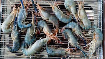 Grilling activity on a steel grid. Raw shrimp that still has some color. Above view of grilled shrimps are arranged on a steel grid. photo