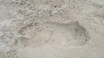 Above view of single footprints of people on the sandy beach. for background and textured of dry beach. No.3 photo