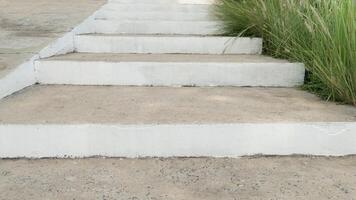 Concrete steps with wide steps. Vertical steps painted in white. The sides are decorated with beautiful green grass along the walkway. photo