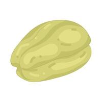 Illustration of Chayote vector