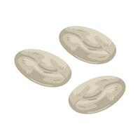 navy bean illustration vector