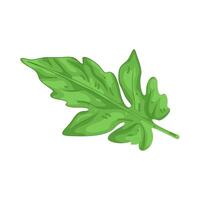 Illustration of Lovage vector