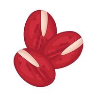 Illustration of Adzuki Bean vector