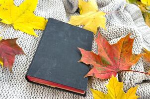 Hello autumn. seasonal atmospheric photo. yellow-orange maple leaf between the pages of an open book on a sunny day. pleasant solitude, self-education is a pleasure. Simple human joys. enjoy every day photo