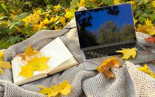Light up Autumn maple leaves near to the laptop computer. Colorful fall concept. Top view and flat lay. Cozy work space. photo