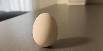 One white egg on background. Creative minimal concept. photo