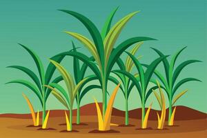 Palm Trees in a Tropical Desert Setting vector