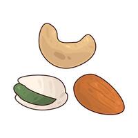 illustration of nuts vector