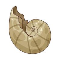 illustration of ammonite fossil vector
