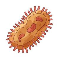 illustration of a bacteria vector