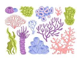 A captivating illustration featuring an array of vibrant coral formations. Rich in color and detail, the corals create a stunning underwater landscape teeming with life and visual interest vector