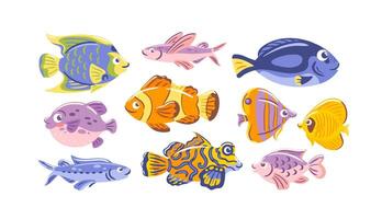 illustration features a vibrant collection of tropical fish, showcasing an array of colors and patterns. Perfect for enhancing aquatic themes and projects, it adds a lively touch to underwater vector