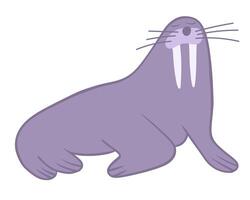 Illustration of a walrus on a white background. vector