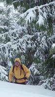 A determined hiker traverses a snowy landscape surrounded by tall evergreens. Clad in a yellow jacket and carrying a backpack, they make steady progress. Vertical footage video