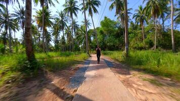 FPV drone shot of woman jogging on tropical path with palm trees on sunny day video