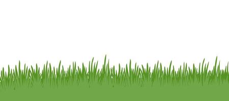 Green grass background. Template of green grass landscape isolated on white background. vector
