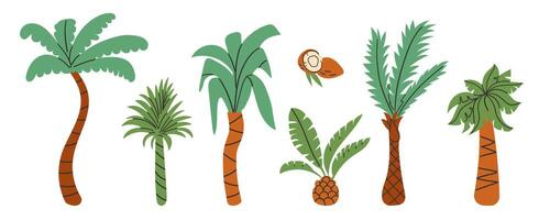 Set of different palm trees in cartoon style. illustration of beautiful green palm trees. Isolated on white background. Tropical coconut trees. Hand drawn flat style illustration . vector