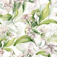 Jasmine on branch watercolor seamless pattern isolated. White flower camellia botanical repeated texture hand drawn. Flowers of jasmine and leaves painted for design wrapping paper, package, textile vector