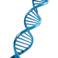 Abstract 3D rendering of a DNA double helix. png