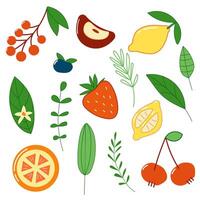 Fruit set with lemon and strawberry vector