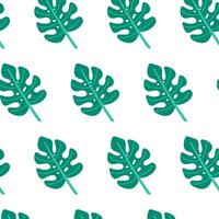 Monstera leaf seamless pattern on white background. Summer seamless pattern. vector