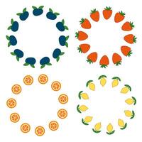 Set of fruit circles, strawberry, blackberry, orange, lemon vector