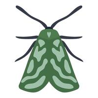 Green moth illustration depicting a simple and stylized design. The symmetrical pattern on the wings features distinct camouflage patterns vector