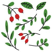 set with berries and leaves. Flat-style illustration of red berries on a branch. Collection of spring fruits, branches, leaves. For posters, greeting cards and children's design. isolated floral fauna vector