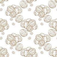 Walnut seamless pattern in detailed engraving sketch style vector