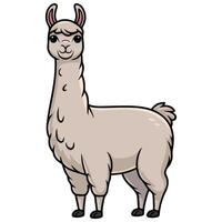 Cartoon llama standing side view isolated illustration on white background vector