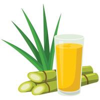 Sugarcane juice with stalks isolated illustration on white background vector
