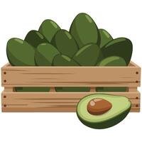 wooden crate tropical avocados fresh isolated illustration on white background vector