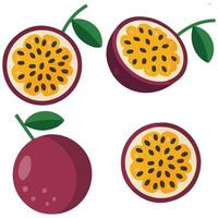 Passion fruit exotic set isolated illustration on white background vector
