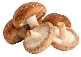 A group of shiitake mushrooms with brown caps and white stems on a transparent background close up view png