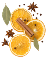 Orange slices with cinnamon sticks and spices isolated on a transparent background png