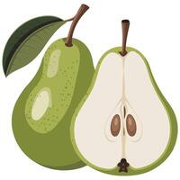 hand drawn pear sliced whole fruit isolated illustration on white background vector