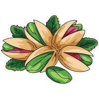 Pistachio nuts set sketch style isolated illustration on white background vector
