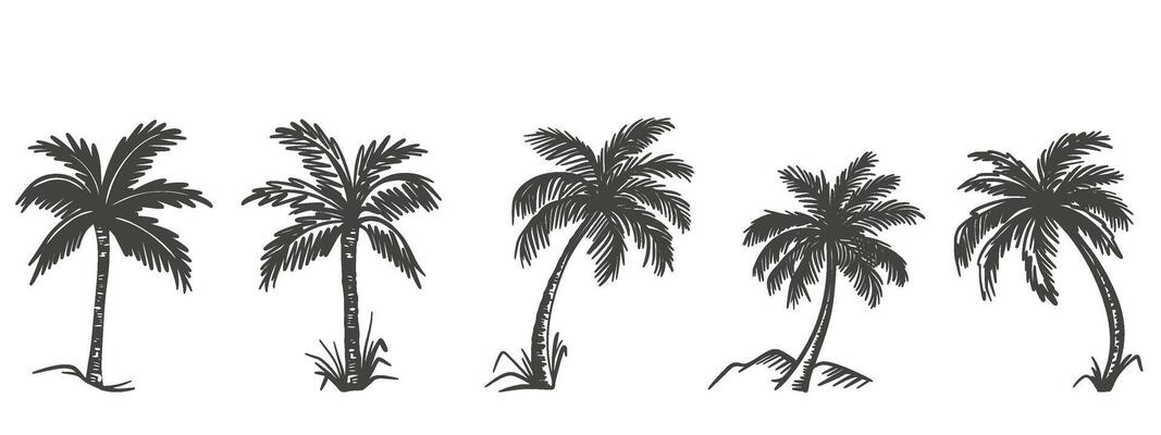 Palm trees hand drawn set
