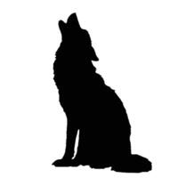 Howling Wolf Silhouette Isolated On White Background In Wild Nature vector