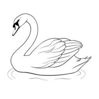 Elegant Swan Outline Illustration Graceful Aquatic Bird Design Simple Black Lines vector