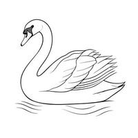Elegant Swan Floating On Water Simple Black And White Line Art Drawing vector