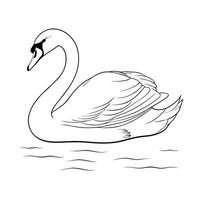 Elegant Swan Sketch Illustration In Black And White Minimalist Water Bird vector