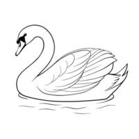 Elegant Swan Illustration Isolated On White Background Graphic Template vector