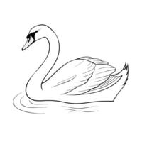 Elegant Swan Swimming Gracefully Minimalist Line Art Illustration Design vector